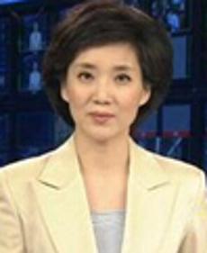 收入证明_电视台主持收入揭秘(3)